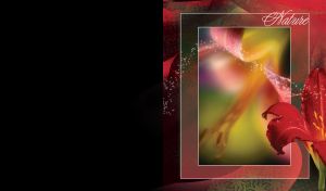 Red amaryllis in the foreground and blurred pink petals and stamen in a red frame