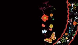Illustration of orange daisies on pink stem, wild flowers and yellow a butterfly