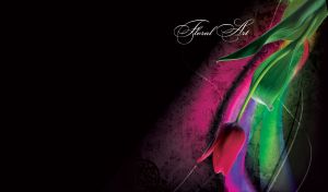 Floral art, composition of a red tulip with green leaves upside down on black