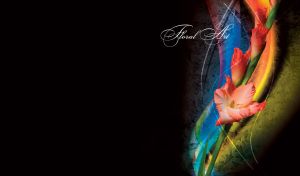 Floral art, composition of a light red gladiolus on black