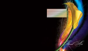 Floral art, composition of a yellow calla on black