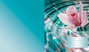 Asiatic lily on the water, with drops on petals and circles around on teal