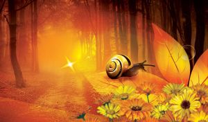 Beautiful orange nature with flowers and a snail