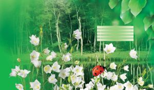 Beautiful green nature with white flowers and a ladybug
