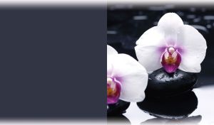 White orchid on a black hot stone