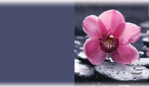 Pink orchid on black hot stones