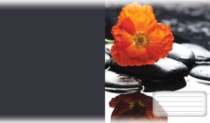 Orange poppy on a black stone