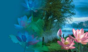 Pink lilies in the foreground of a green tree on the bank of a misty white river