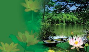 White and pink lily in the foreground of a boat on the bank of a green river