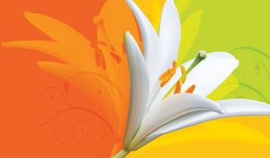 Floral Fusion | Vibrant Petals Close-ups on Striking Backgrounds