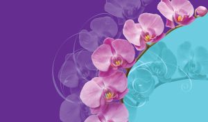 Closeup shot of a purple orchid flower on blue and violet gradient