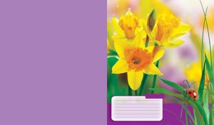 Yellow daffodils flower and red ladybug violet