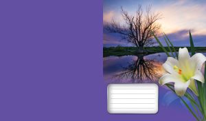 Isolated white easter lily over the lake water next to a lone leafless tree