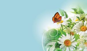 Flowers & Butterflies | Nature's Wings on Pastel Dreamscapes