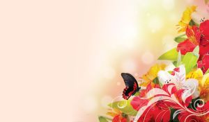 Black butterfly on yellow and red lilies of the Incas on a pastel beige backdrop