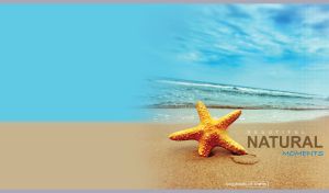 Starfish on ocher beach sand against the sea waves and a cloudy light blue sky