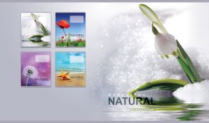 White tender snowdrop against the sparkling melting snow