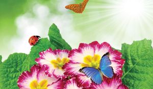 Flowers and Butterflies | Vibrant flowers close-up and fluttering butterflies on a summer day