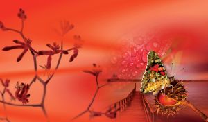 Butterfly on an open chestnut against the red monochrome of a wooden pier