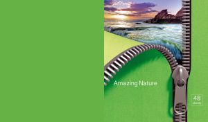 Evening landscape of foamy water on a rocky shore unzip behind the green fabric