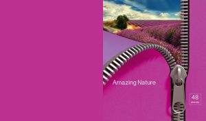 Amazing landscape of endless lavender fields unzip behind the fuchsia fabric
