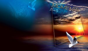 Beauty Moments | Sea Creatures against Sunset Silhouettes with Abstract Frames