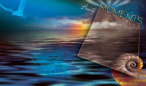 Seashell on a sea with clouds visible through filtered frame-screen