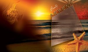 Orange starfish over sea beach on sunset visible through filtered frame-screen