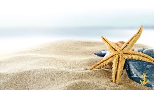Yellow starfish and shells on beige sand on pastel blue and white sea background