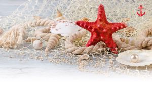 Red starfish and seashells arranged on a fishing net on a white beach