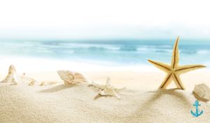 Yellow starfish and beige shells on white sand on pastel blue sea background