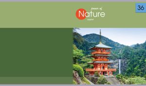 Buddhist temple against the green mountains on a green-khaki backdrop