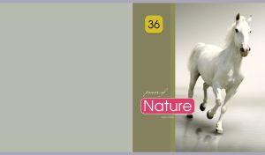 White horse canters in the daylight on pastel green-grey backdrop