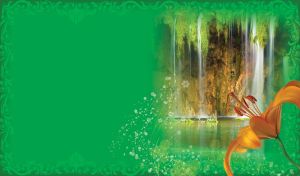 Flower Close-ups against Waterfall Vignettes | On a swirl frame patterned background