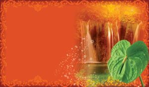 Green laceleaf against a vignette of a waterfall in a swirl frame on red