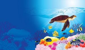 Sea turtle surrounded by colorful fishes and corals in the blue ocean