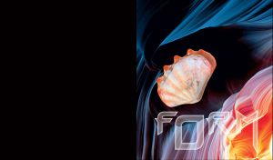 Open scallop seashell on dark blue orange vector background