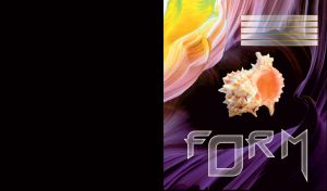 Large caribbean seashell calilla on wavy abstract purple and yellow background