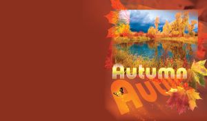 Autumn scenery with lake water reflection of golden trees on a maroon background