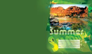 Summer mountain lake with green grass, red rocks, leaves and butterfly on green