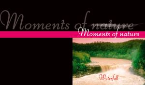 Waterfall flows into the cloudy water of a river in the middle of a green forest