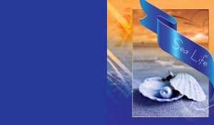 Sea Life | Marine Moods | Seashells Close-up Framed and Decorated in Ocean Hues