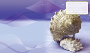 Two marble seashells against a light violet wavy pattern gradient