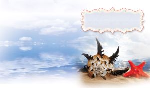 Big murex shell with black spikes and red starfish lay in the sand in front of sea