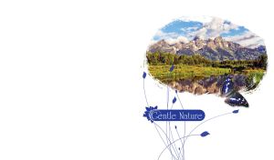 Gentle Nature | Waterscape Miniatures in Oval Frames on White