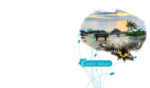 Swallowtail butterfly on an oval miniature of an old bench on the seashore at sunset