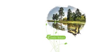 Yellow butterfly on an oval miniature of pines reflected in the green water