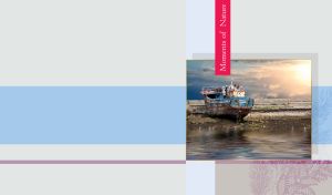 Abandoned old ship on the shore on a pastel blue panel and a gray backdrop