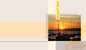A marina at sunset on a pastel yellow panel and a gray backdrop