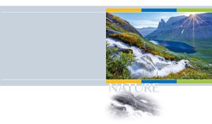 Pastel Nature Wonders | Best Landscapes in Harmonious Tones | on White